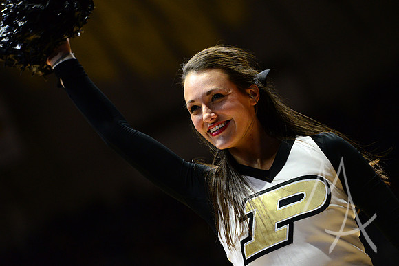 NCAA BASKETBALL: DEC 19 Western Illinois at Purdue
