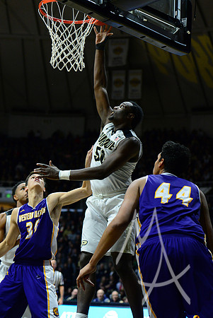 NCAA BASKETBALL: DEC 19 Western Illinois at Purdue