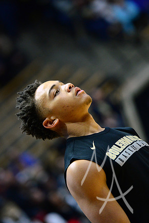 NCAA BASKETBALL: DEC 19 Western Illinois at Purdue