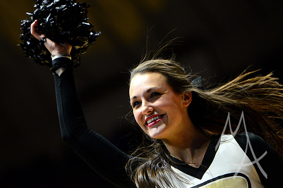 NCAA BASKETBALL: DEC 19 Western Illinois at Purdue