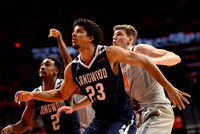 COLLEGE BASKETBALL: DEC 13 Longwood at Illinois