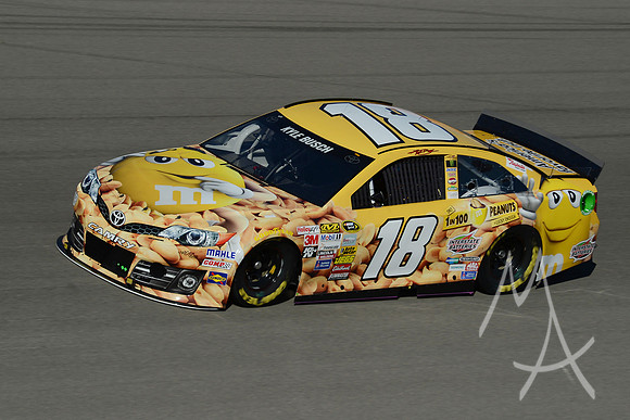 MAR 06 NASCAR - Sprint Cup Series - Testing