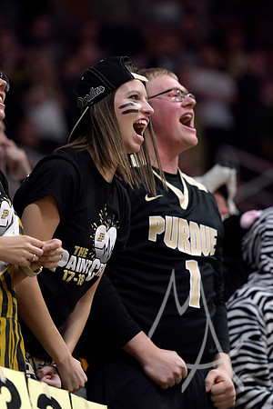 COLLEGE BASKETBALL: NOV 18 Fairfield at Purdue