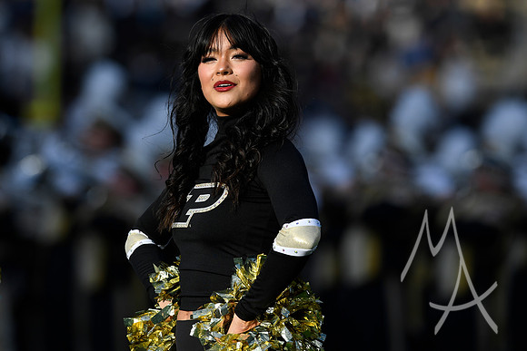 COLLEGE FOOTBALL: NOV 16 Penn State at Purdue