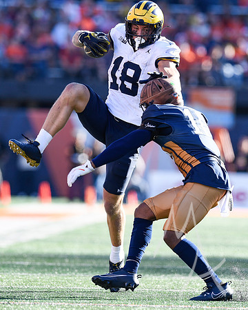 COLLEGE FOOTBALL: OCT 19 Michigan at Illinois