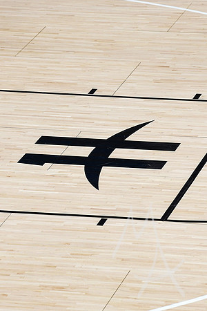 COLLEGE BASKETBALL: MAR 11 Horizon League Championship Robert Morris vs Youngstown State