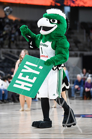 COLLEGE BASKETBALL: MAR 11 Women's Horizon League Championship Green Bay vs Fort Wayne