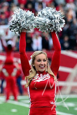 NCAA FOOTBALL: NOV 26 Purdue at Indiana