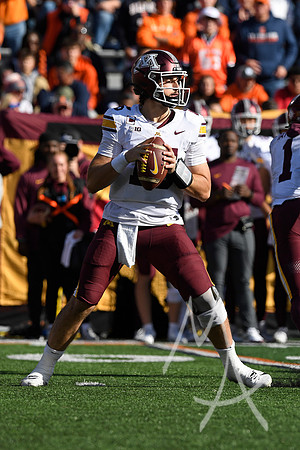 COLLEGE FOOTBALL: NOV 02 Minnesota at Illinois