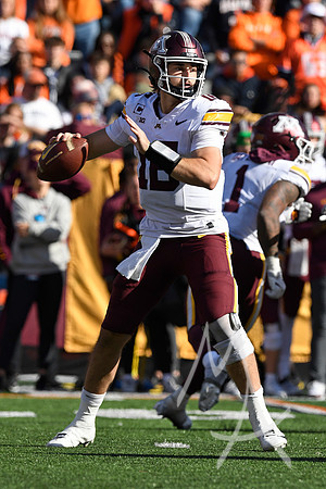 COLLEGE FOOTBALL: NOV 02 Minnesota at Illinois