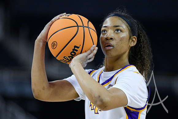 COLLEGE BASKETBALL: MAR 08 WomenÕs Ohio Valley Championship Tennessee Tech vs Lindenwood