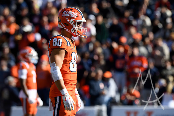 COLLEGE FOOTBALL: NOV 02 Minnesota at Illinois