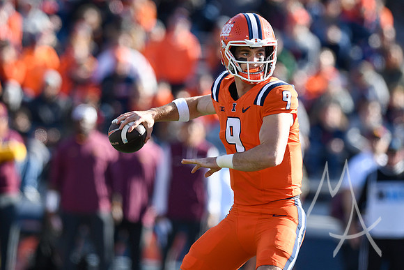 COLLEGE FOOTBALL: NOV 02 Minnesota at Illinois