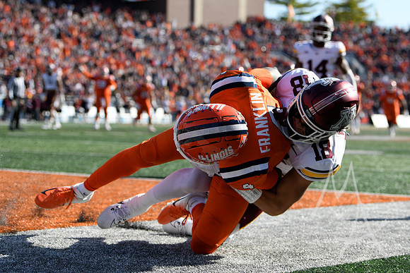 COLLEGE FOOTBALL: NOV 02 Minnesota at Illinois