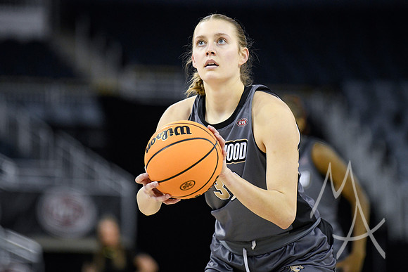 COLLEGE BASKETBALL: MAR 08 WomenÕs Ohio Valley Championship Tennessee Tech vs Lindenwood