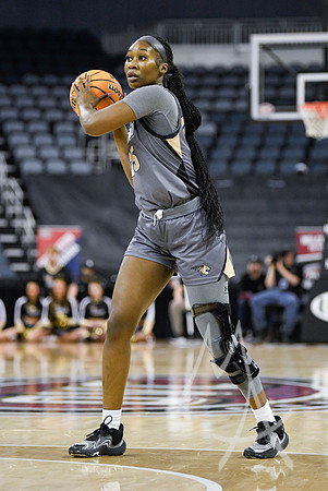 COLLEGE BASKETBALL: MAR 08 WomenÕs Ohio Valley Championship Tennessee Tech vs Lindenwood