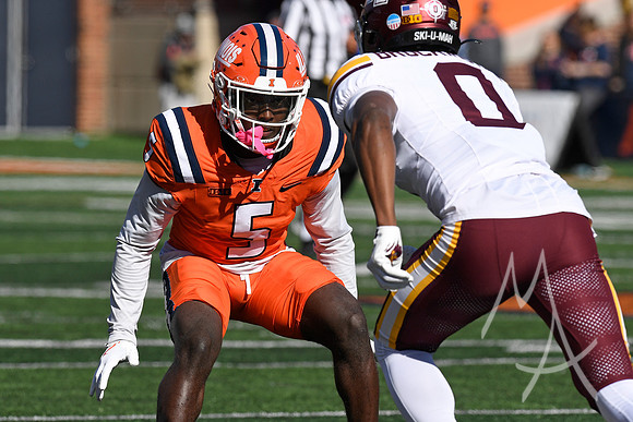 COLLEGE FOOTBALL: NOV 02 Minnesota at Illinois