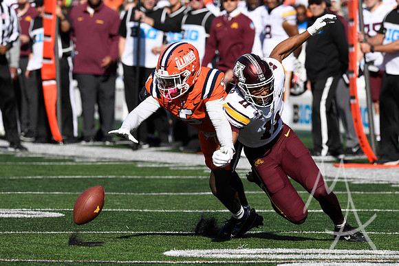 COLLEGE FOOTBALL: NOV 02 Minnesota at Illinois