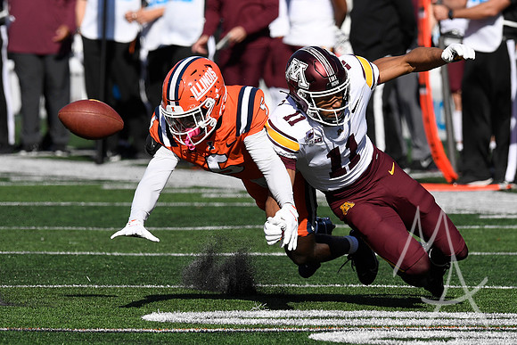 COLLEGE FOOTBALL: NOV 02 Minnesota at Illinois