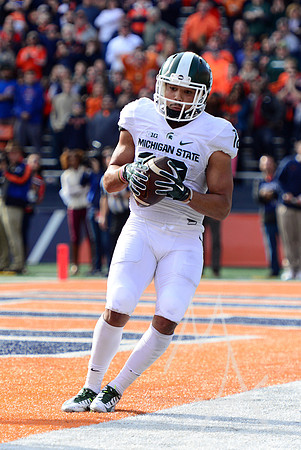 NCAA FOOTBALL: NOV 05 Michigan State at Illinois