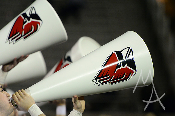 NCAA FOOTBALL: NOV 01 Western Michigan at Ball State