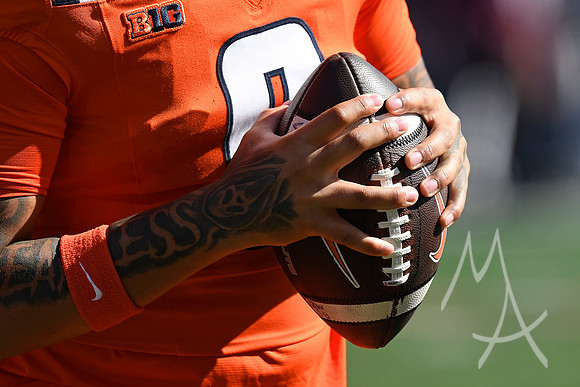 COLLEGE FOOTBALL: NOV 02 Minnesota at Illinois