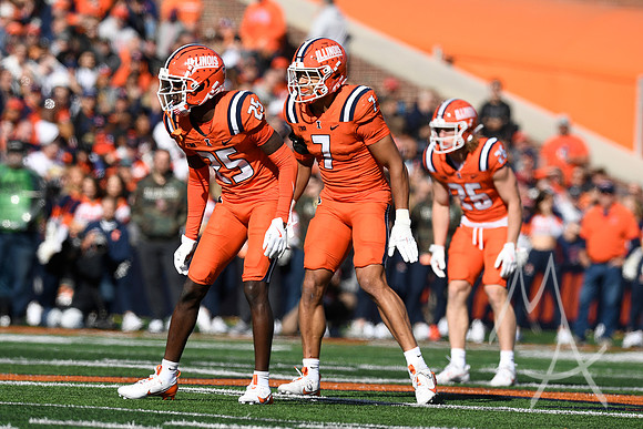 COLLEGE FOOTBALL: NOV 02 Minnesota at Illinois