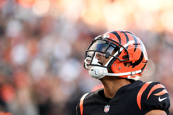 NFL: NOV 12 Texans at Bengals