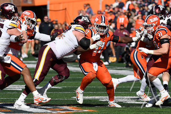 COLLEGE FOOTBALL: NOV 02 Minnesota at Illinois