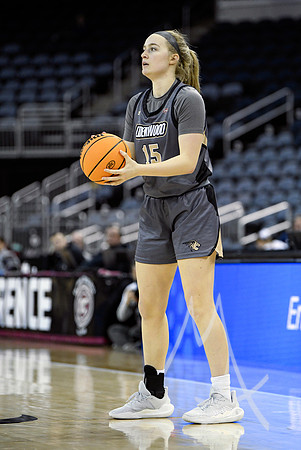 COLLEGE BASKETBALL: MAR 08 WomenÕs Ohio Valley Championship Tennessee Tech vs Lindenwood
