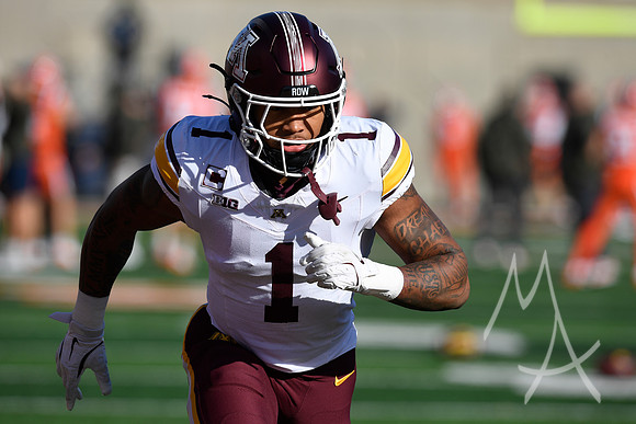COLLEGE FOOTBALL: NOV 02 Minnesota at Illinois