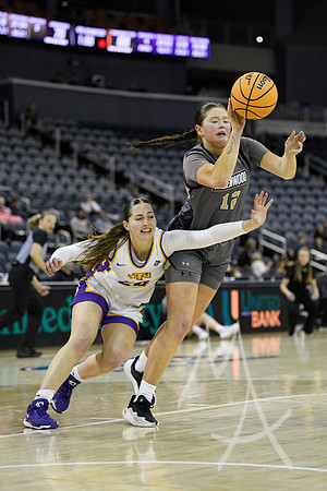 COLLEGE BASKETBALL: MAR 08 WomenÕs Ohio Valley Championship Tennessee Tech vs Lindenwood