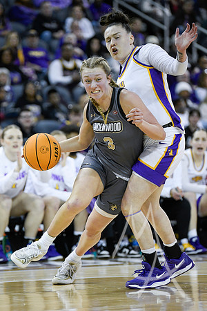 COLLEGE BASKETBALL: MAR 08 WomenÕs Ohio Valley Championship Tennessee Tech vs Lindenwood