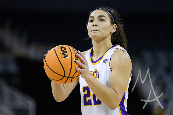 COLLEGE BASKETBALL: MAR 08 WomenÕs Ohio Valley Championship Tennessee Tech vs Lindenwood