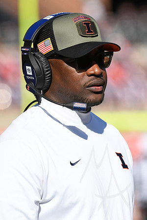 COLLEGE FOOTBALL: NOV 02 Minnesota at Illinois