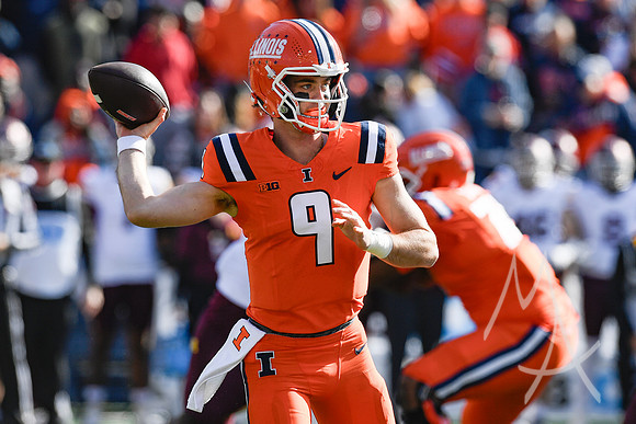 COLLEGE FOOTBALL: NOV 02 Minnesota at Illinois