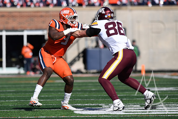 COLLEGE FOOTBALL: NOV 02 Minnesota at Illinois