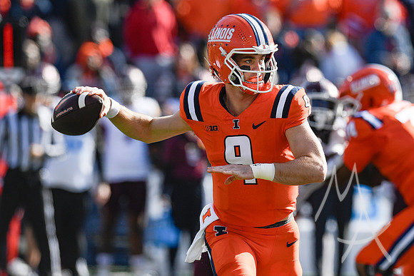 COLLEGE FOOTBALL: NOV 02 Minnesota at Illinois