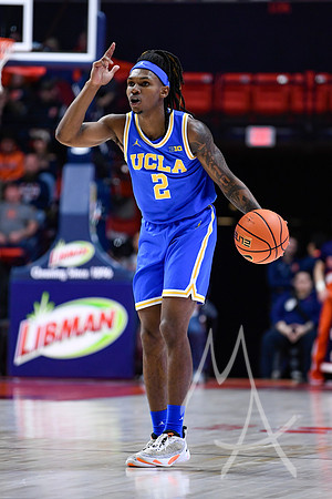 COLLEGE BASKETBALL: FEB 11 UCLA at Illinois