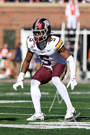 COLLEGE FOOTBALL: NOV 02 Minnesota at Illinois