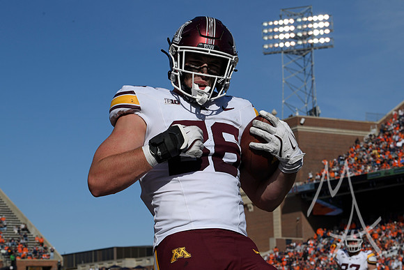 COLLEGE FOOTBALL: NOV 02 Minnesota at Illinois