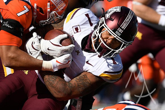 COLLEGE FOOTBALL: NOV 02 Minnesota at Illinois