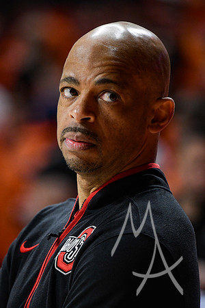COLLEGE BASKETBALL: FEB 02 Ohio State at Illinois