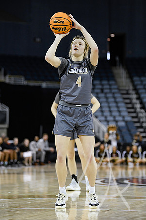 COLLEGE BASKETBALL: MAR 08 WomenÕs Ohio Valley Championship Tennessee Tech vs Lindenwood