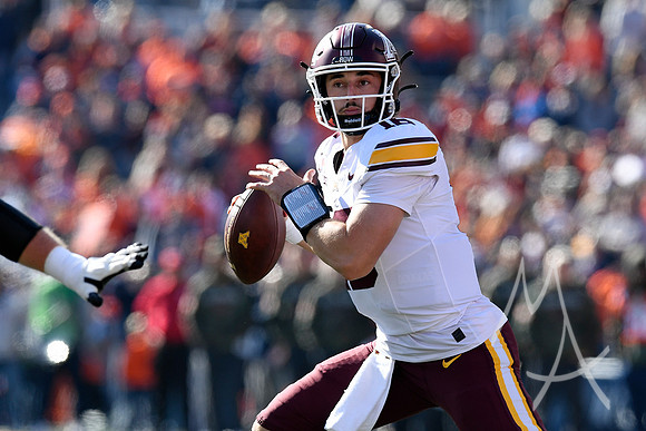 COLLEGE FOOTBALL: NOV 02 Minnesota at Illinois