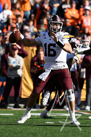 COLLEGE FOOTBALL: NOV 02 Minnesota at Illinois