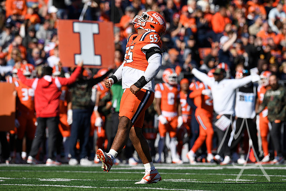COLLEGE FOOTBALL: NOV 02 Minnesota at Illinois