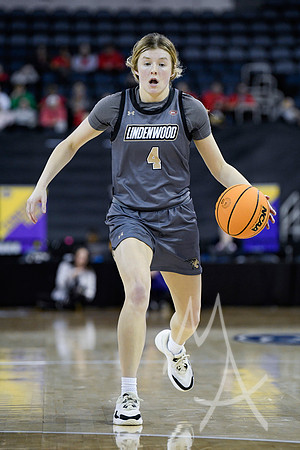 COLLEGE BASKETBALL: MAR 08 Women’s Ohio Valley Championship Tennessee Tech vs Lindenwood