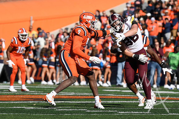 COLLEGE FOOTBALL: NOV 02 Minnesota at Illinois