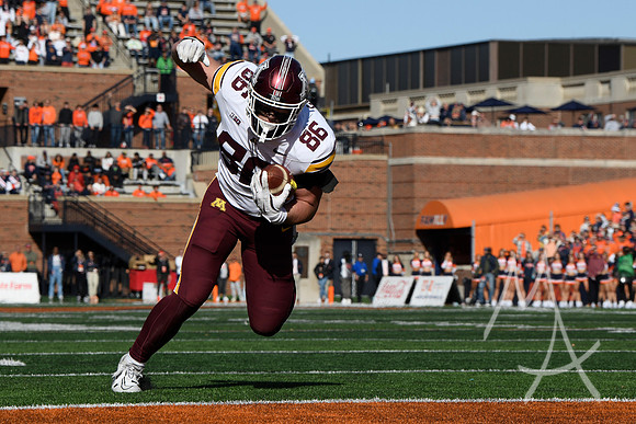 COLLEGE FOOTBALL: NOV 02 Minnesota at Illinois